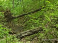 Parki Krajobrazowe Garbu Tenczyńskiego