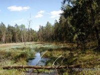 Parki Krajobrazowe Garbu Tenczyńskiego