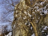 Parki Krajobrazowe Garbu Tenczyńskiego